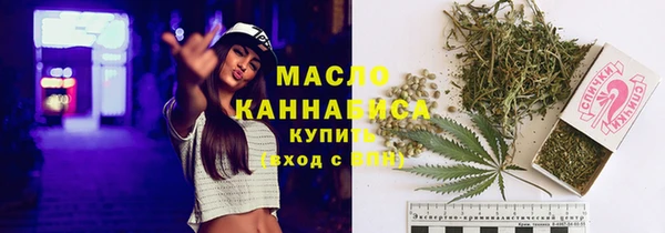 индика Белая Холуница