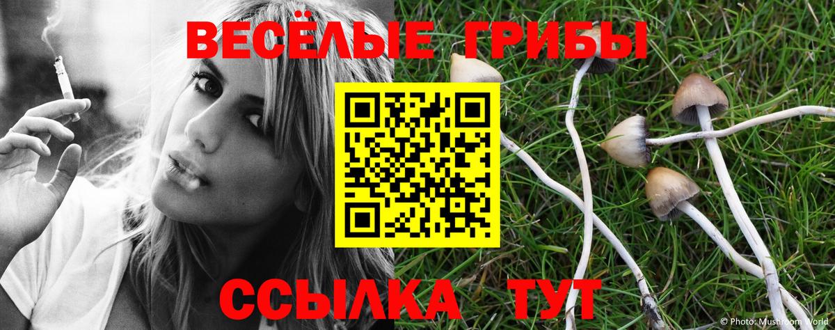 Нарьян-Мар  Галлюциногенные грибы ЛСД  Вход с VPN  Галлюциногенные грибы ЛСД 