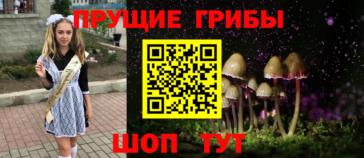 Галлюциногенные грибы Psilocybine cubensis Нарьян-Мар